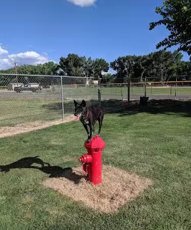 Bishop Dog Park - Bishop, CA