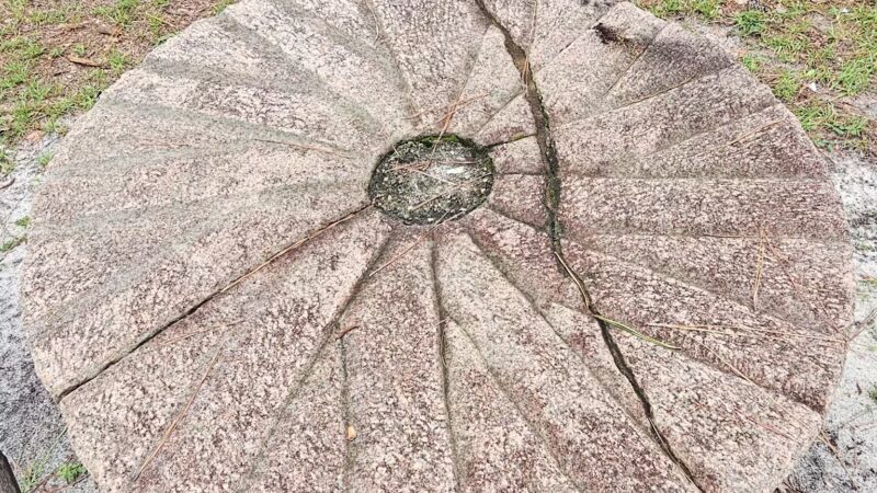 Lee State Park - Bishopville, SC