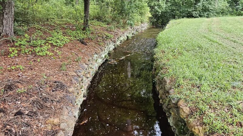 Lee State Park - Bishopville, SC