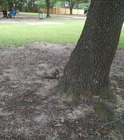 Grammar School Park - Bishopville, SC