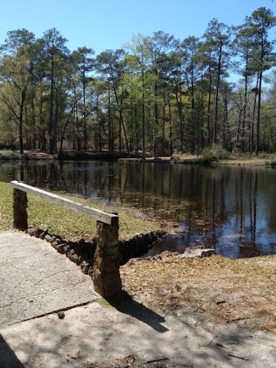 Lee State Park - Bishopville, SC