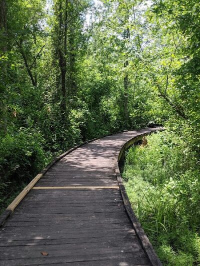 Lee State Park - Bishopville, SC