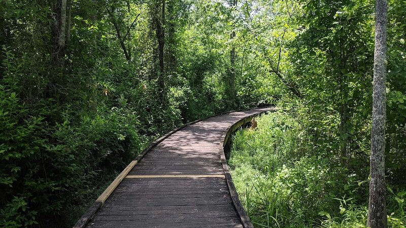 Lee State Park - Bishopville, SC