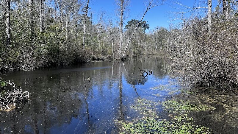 Lee State Park - Bishopville, SC