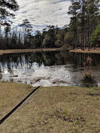 Lee State Park - Bishopville, SC