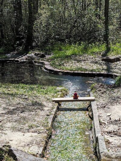 Lee State Park - Bishopville, SC