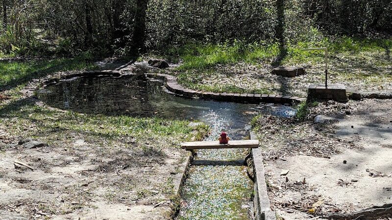 Lee State Park - Bishopville, SC