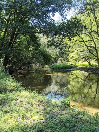 Lee State Park - Bishopville, SC