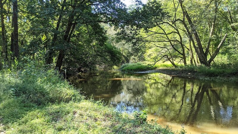 Lee State Park - Bishopville, SC