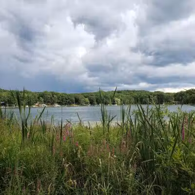 Pettibone Lake County Park - Bitely, MI