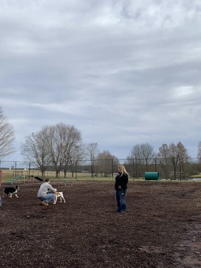 The Dog Park - Blacksburg, VA