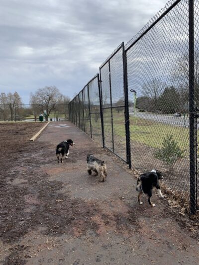 The Dog Park - Blacksburg, VA