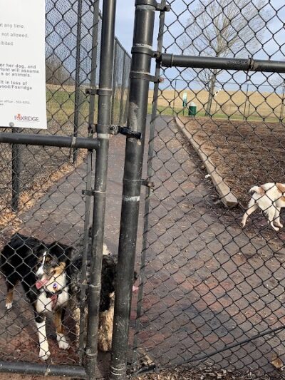 The Dog Park - Blacksburg, VA
