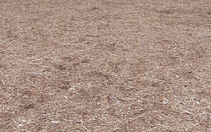 The Dog Park - Blacksburg, VA