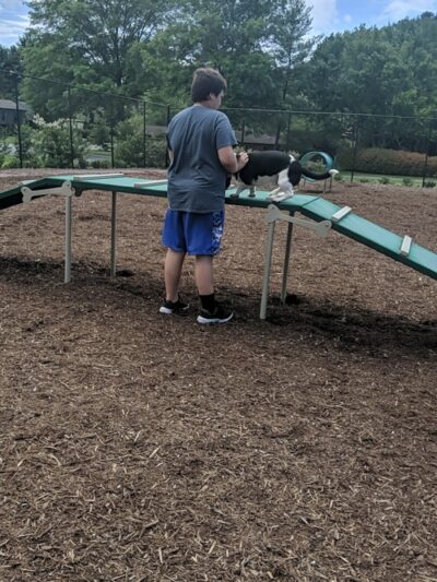 The Dog Park - Blacksburg, VA