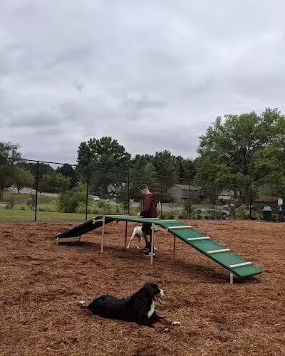 The Dog Park - Blacksburg, VA