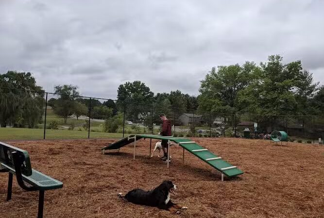 The Dog Park - Blacksburg, VA