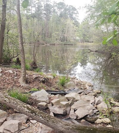Barnwell State Park - Blackville, SC