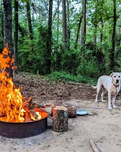 Barnwell State Park - Blackville, SC