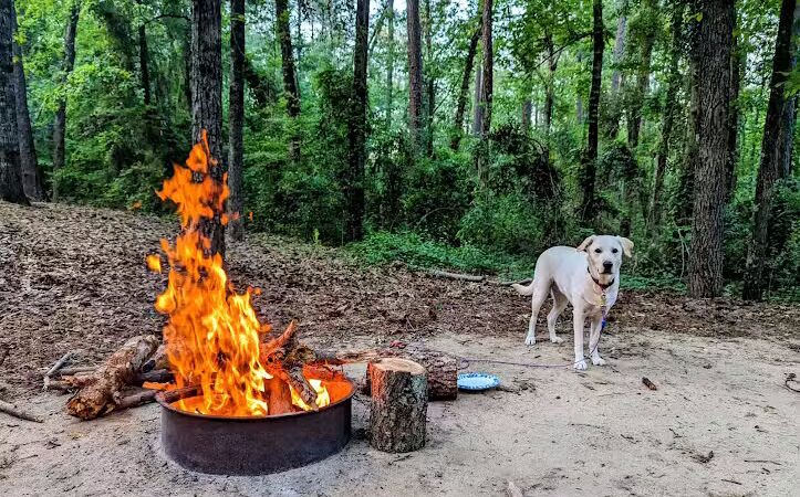 Barnwell State Park - Blackville, SC