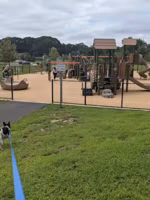 Timber Creek Dog Park - Blackwood, NJ