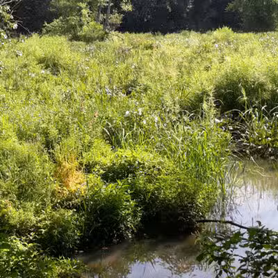 Timber Creek Park - Blackwood, NJ