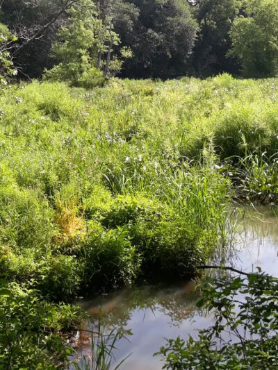 Timber Creek Park - Blackwood, NJ