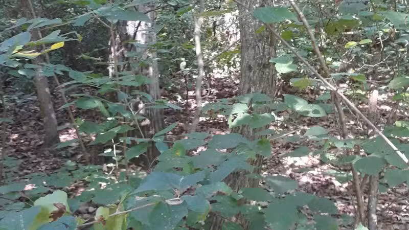 Timber Creek Park - Blackwood, NJ