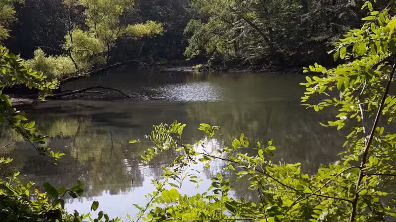 Timber Creek Park - Blackwood, NJ
