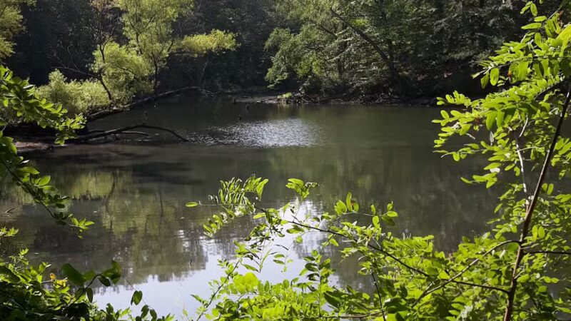 Timber Creek Park - Blackwood, NJ