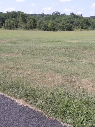 Timber Creek Park - Blackwood, NJ