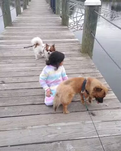 Bladensburg Waterfront Park - Bladensburg, MD