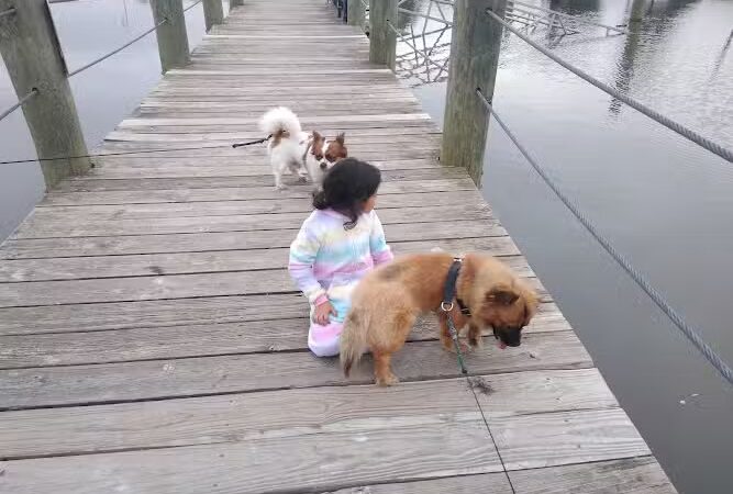 Bladensburg Waterfront Park - Bladensburg, MD