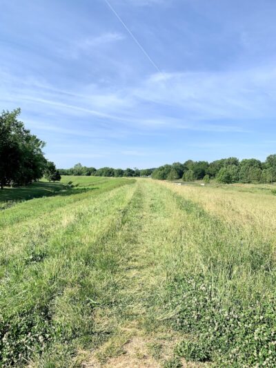 Old Port of Bladensburg Park - Bladensburg, MD
