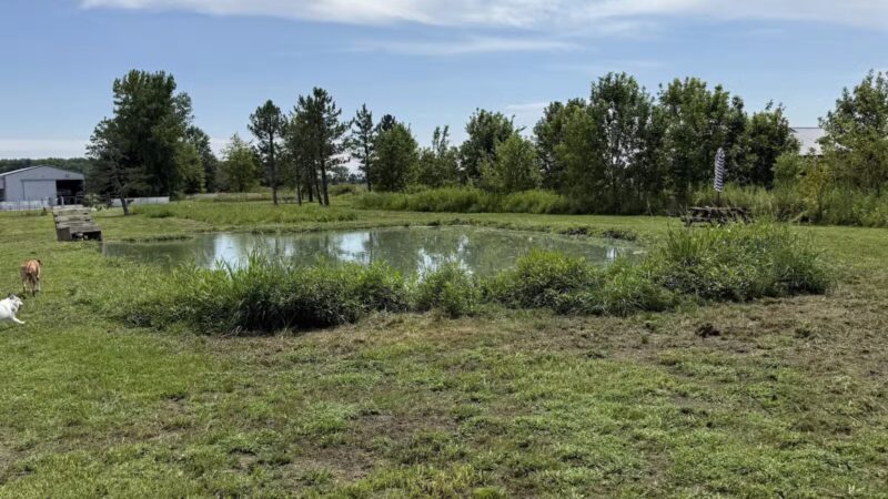 Tom Harvey Memorial Dog Park - Blanchester, OH