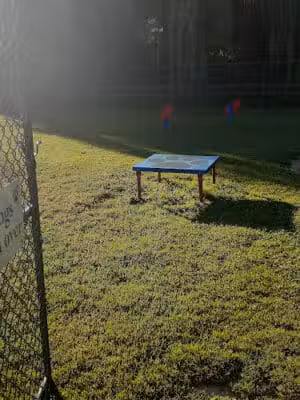 Dog Park @Bachmayer Park - Blissfield, MI