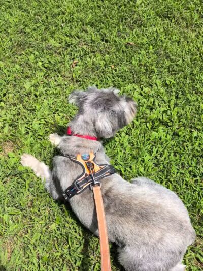 Bloomfield City Park - Bloomfield, IN