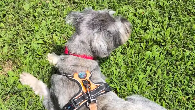 Bloomfield City Park - Bloomfield, IN