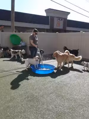 Dogtopia of Bloomfield - Bloomfield Hills,