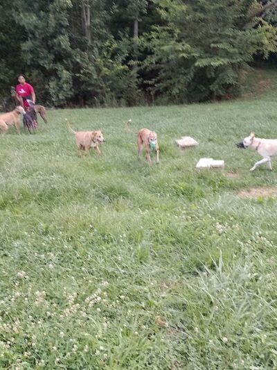 Gbark - Bloomfield, IN