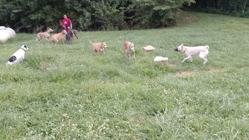 Gbark - Bloomfield, IN