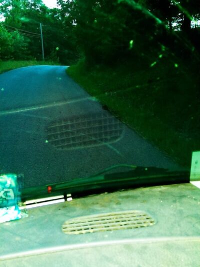 Gbark - Bloomfield, IN