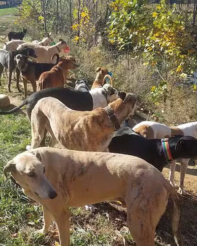 Gbark - Bloomfield, IN