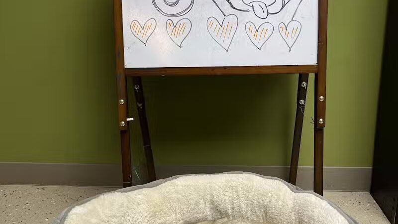 4 Paws Community Center - Bloomfield Township,