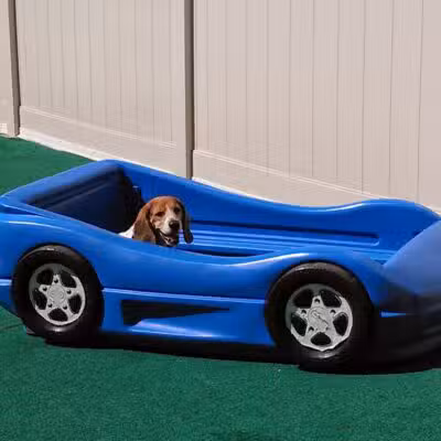 4 Paws Community Center - Bloomfield Township,
