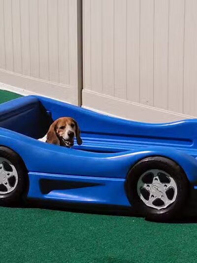 4 Paws Community Center - Bloomfield Township,