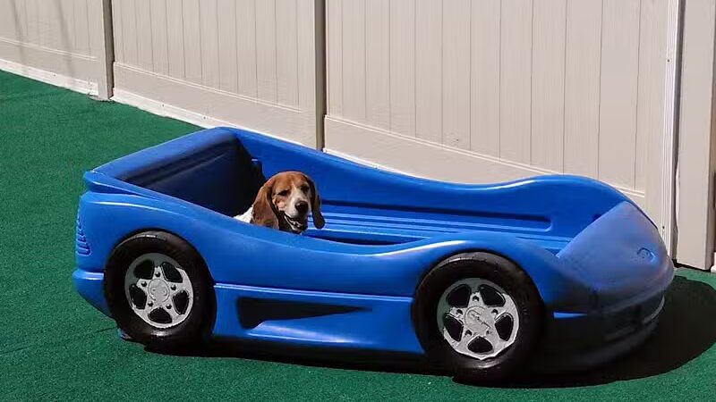 4 Paws Community Center - Bloomfield Township,