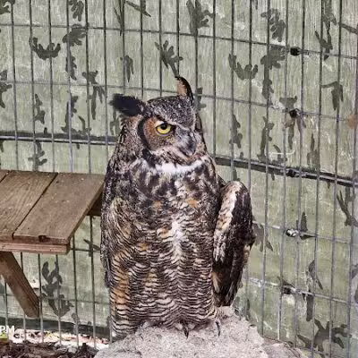 Johnson Nature Center - Bloomfield Township,