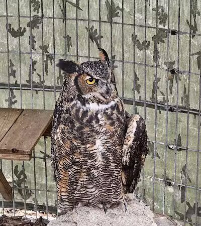 Johnson Nature Center - Bloomfield Township,