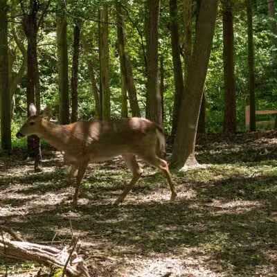 Johnson Nature Center - Bloomfield Township,